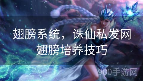 翅膀系统，诛仙私发网翅膀培养技巧
